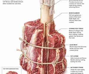 Tied Meat Shanks for Slow Cooking