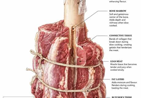 Tied Meat Shanks for Slow Cooking