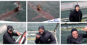 Daily Blog: 09 September 2026 | Shark Cage Diving in South Africa