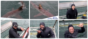Daily Blog: 09 September 2026 | Shark Cage Diving in South Africa