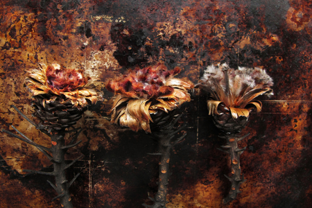 eri_kah_van_breda_fire_fynbos_trophy_magazine_02_1789125444