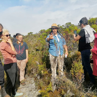Group walk
