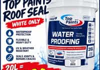 Top Paints Roof Seal Special