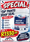 Top Paints Roof Seal Special