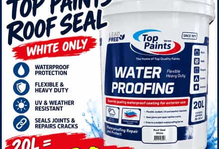 Top Paints Roof Seal Special