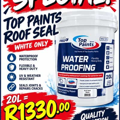 Top Paints Roof Seal Special