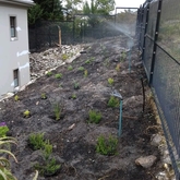 Irrigation System Installation in Hermanus Heights.