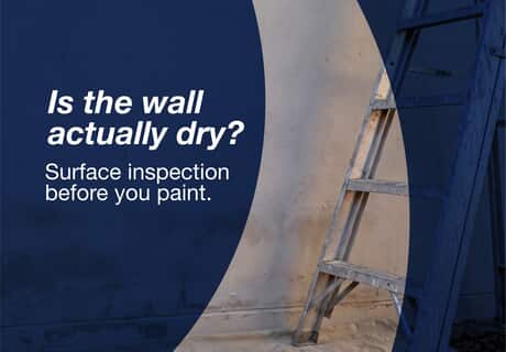 Is Your Wall Ready for a Fresh Coat of Paint?