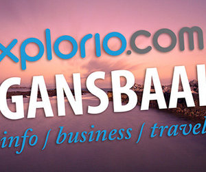 Welcome to Xplorio Gansbaai
