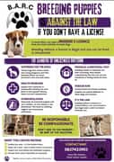 Breeding Puppies Without a Licence Is Illegal in South Africa