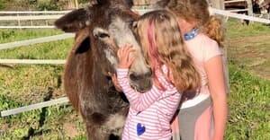 Visit EARS Donkey Sanctuary This Heritage Day