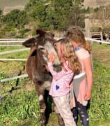 Visit EARS Donkey Sanctuary This Heritage Day