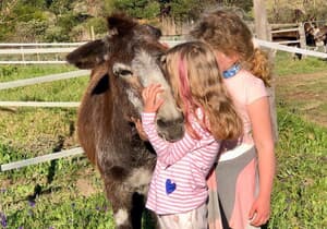 Visit EARS Donkey Sanctuary This Heritage Day