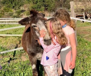 Visit EARS Donkey Sanctuary This Heritage Day