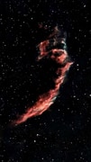 Cygnus Loop: Ancient Supernova Remnant