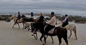 Horseback Adventures