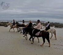 Horseback Adventures
