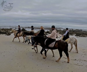Horseback Adventures