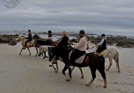 Horseback Adventures