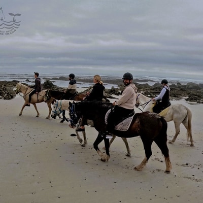 Horseback Adventures
