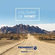 Choosing Exterior Paint Colours for South African Homes