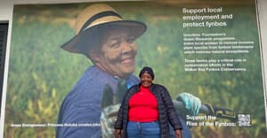 A Little Catch-Up from Grootbos Foundation