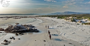 Five-Star Review for Pearly Beach Horse Trails