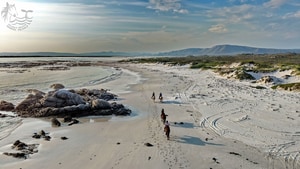 Five-Star Review for Pearly Beach Horse Trails