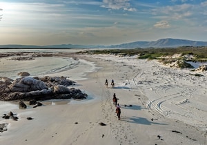 Five-Star Review for Pearly Beach Horse Trails