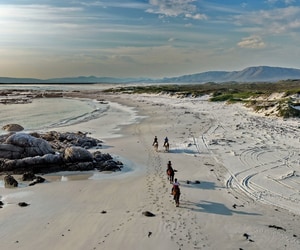 Five-Star Review for Pearly Beach Horse Trails