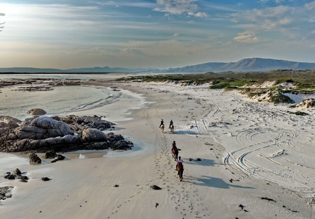 Five-Star Review for Pearly Beach Horse Trails