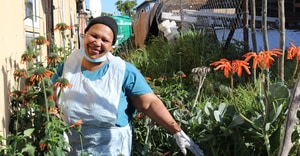 From Fresh Eggs to Chicken Manure