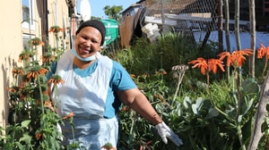 From Fresh Eggs to Chicken Manure