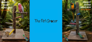 Parrot Stands at The Pet Grocer