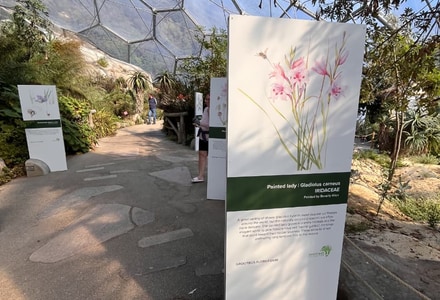 Grootbos Florilegium Brings Fynbos to Eden Project UK