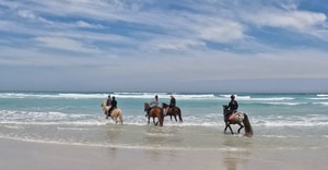 Horseback Beach Rides on the Cape Whale Coast