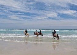 Horseback Beach Rides on the Cape Whale Coast