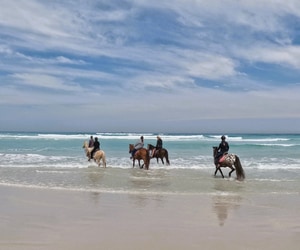 Horseback Beach Rides on the Cape Whale Coast