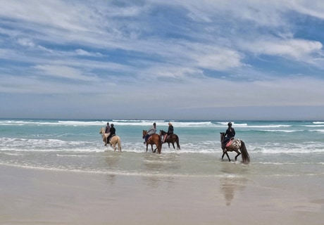 Horseback Beach Rides on the Cape Whale Coast