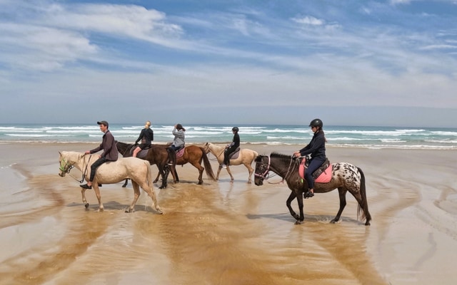WhatsApp_Image_2026_10_05_at_10.42.26_1791190543 WhatsApp_Image_2026_10_05_at_10.42.26_1791190543