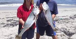 Fish Fever Celebrates 30 Years in Gansbaai