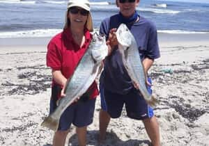 Fish Fever Celebrates 30 Years in Gansbaai