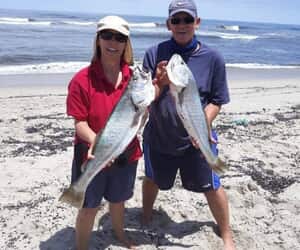 Fish Fever Celebrates 30 Years in Gansbaai