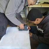 Upholstery - Grow Strong - Xplorio™ Grabouw
