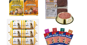 Why Feed Your Dog Fresh and Raw Food?
