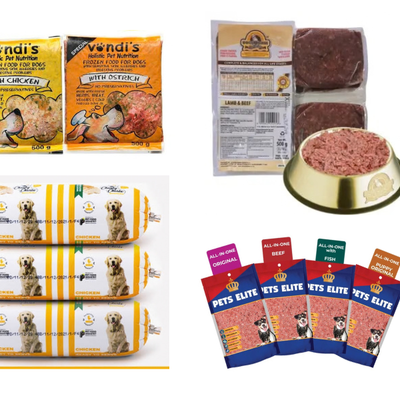 Why Feed Your Dog Fresh and Raw Food?