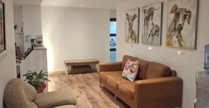 Welcome Back to Our Newly Renovated Rooms!