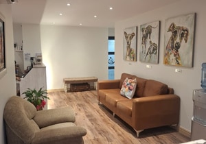 Welcome Back to Our Newly Renovated Rooms!