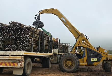 Summer Clearance Sale on Treated Pine Poles