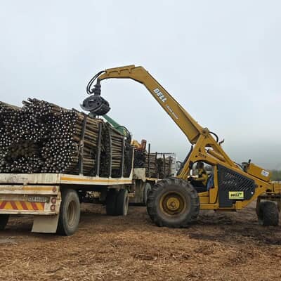 Summer Clearance Sale on Treated Pine Poles